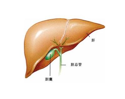 福州中医治疗胆管癌优点